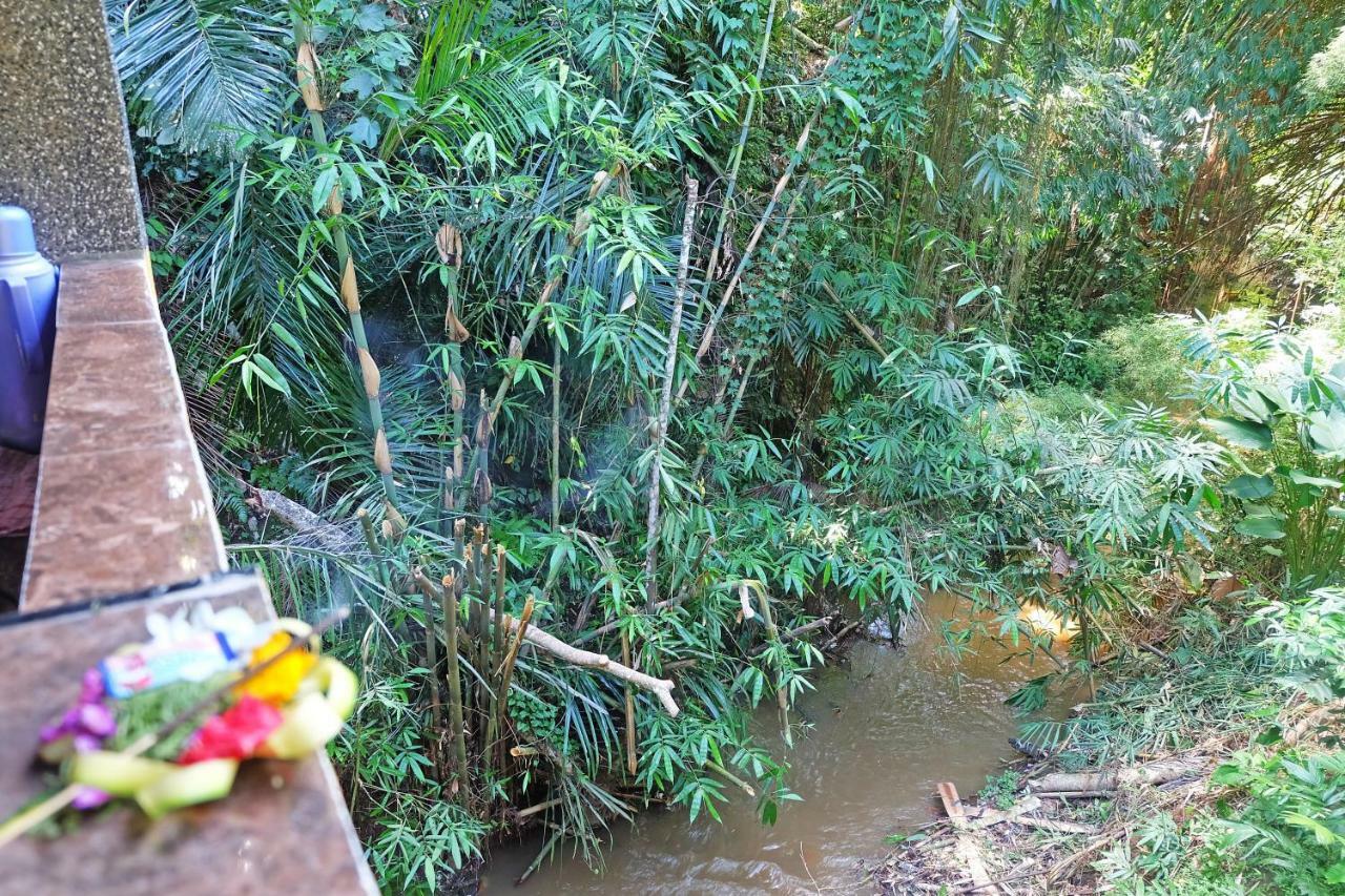 Rumah Kelinci Ubud  Ngoại thất bức ảnh